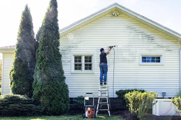 Best Gutter Cleaning  in Clover, SC